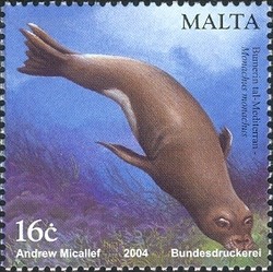 Colnect-657-554-Mediterranean-Monk-Seal-Monachus-monachus.jpg