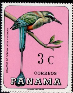 Colnect-790-770-Turquoise-browed-Motmot%C2%A0Eumomota-superciliosa.jpg