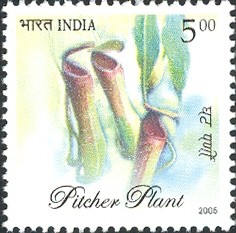 Colnect-542-349-Flora-and-Fauna-of-North-East-India---Pitcher-plant.jpg