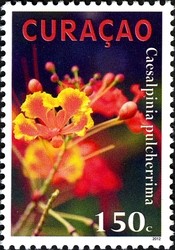 Colnect-1628-988-Plants-of-Curacao---Tuturutu.jpg