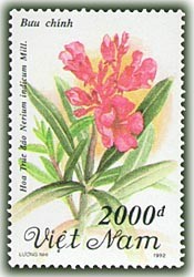 Colnect-1657-000-Sweet-Scented-Oleander-nerium-Indicum-Mill.jpg