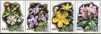 Colnect-1839-777-Flowers-of-Srandjha-Mountains.jpg
