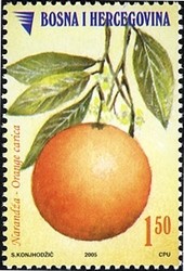 Colnect-1861-546-Orange-Carica.jpg