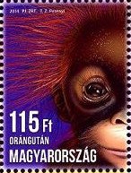 Colnect-2157-372-Sumatran-Orangutan-Pongo-abelii.jpg