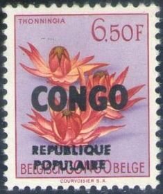 Colnect-5804-036-Thonningia-overprint-CONGO-overprint.jpg