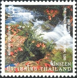 Colnect-1668-218-Red-Maple-Leaves-Phu-Kradueng-National-Park-Loei.jpg