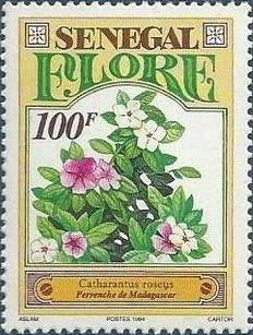 Colnect-2199-504-Madagascar-Rosy-Periwinkle-Catharanthus-roseus.jpg