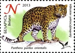 Colnect-2240-237-Amur-Leopard-Panthera-pardus-orientalis.jpg