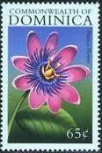 Colnect-3238-437-Passion-flower.jpg