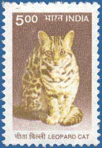 Colnect-548-010-Leopard-Cat-Prionailurus-bengalensis.jpg