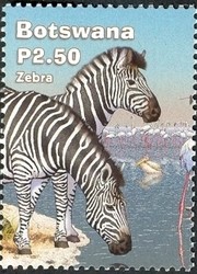 Colnect-1424-478-Burchell--s-Zebra-Equus-burchelli.jpg