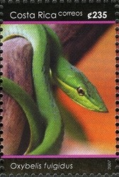Colnect-1723-413-Green-Vine-Snake--Oxybelis-fulgidus.jpg