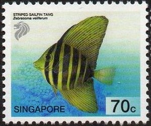 Colnect-2188-614-Pacific-Sail-fin-Surgeonfish-Zebrasoma-veliferum.jpg