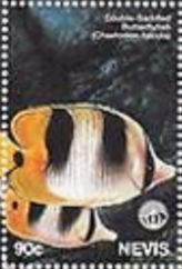 Colnect-3546-592-Double-saddled-butterflyfish.jpg