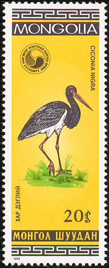 Colnect-859-483-Black-Stork-Ciconia-nigra.jpg