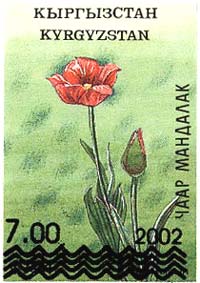Stamp_of_Kyrgyzstan_flora3_.jpg