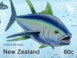 Colnect-1059-799-Yellowfin-Tuna--Thunnus-albacares.jpg