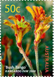 Colnect-457-339-Bush-Tango-Kangaroo-Paw.jpg