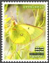 Colnect-3536-810-Moorland-Clouded-Yellow-Butterfly-Colias-Palaeno.jpg