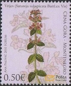 Colnect-1443-710-Medicinal-herbs---Satureja-Satureja-subspicata.jpg
