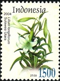 Colnect-1586-590-Flora---Lilium-longiflorum.jpg