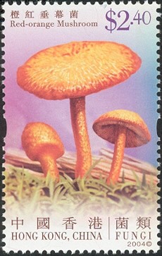 Colnect-518-502-Fungi---Red-orange-mushroom.jpg