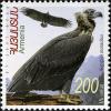 Aegypius_monachus_2007_Armenian_stamp.jpg
