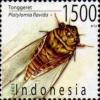 Platylomia_flavida_2003_Indonesia_stamp.jpg