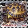 Testudo_Horsfieldii_2007_Armenian_stamp_1.jpg