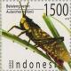 Aularches_miliaris_2003_Indonesia_stamp.jpg