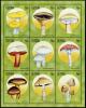 Colnect-3122-300-Mushrooms.jpg