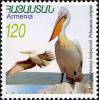 Pelecanus_crispus_2007_Armenian_stamp.jpg