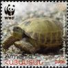 Testudo_Horsfieldii_2007_Armenian_stamp_2.jpg