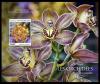 Colnect-6008-013-Orchids.jpg