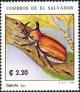 Colnect-5557-021-Beetles.jpg