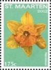 Colnect-2624-604-Narcissus.jpg