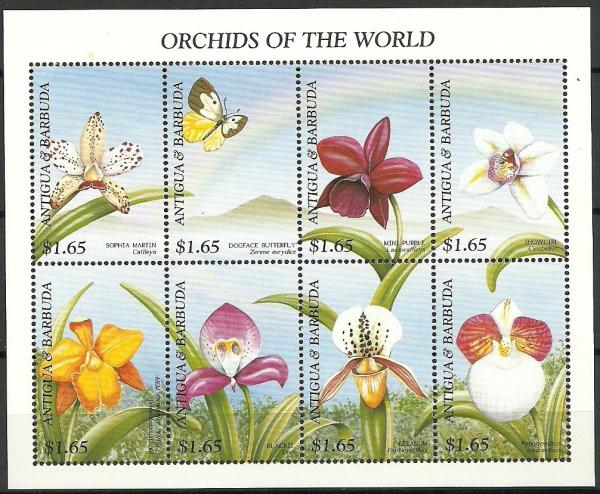 Colnect-1770-050-Orchids.jpg
