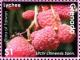 Colnect-5983-057-Lychees.jpg