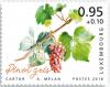 Colnect-5405-808-Pinot-Gris.jpg