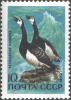 The_Soviet_Union_1972_CPA_4094_stamp_%28Barnacle_Goose%29.jpg