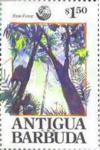 Colnect-1987-940-Rain-Forest.jpg