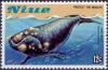 Colnect-3383-100-Right-whale.jpg