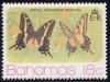 Skap-bahamas_01_butterflies_370-73.jpg-crop-276x209at7-245.jpg