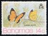 Skap-bahamas_01_butterflies_370-73.jpg-crop-278x209at308-15.jpg