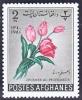 WSA-Afghanistan-Postage-1961-10.jpg-crop-173x210at276-862.jpg