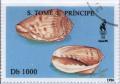 Colnect-938-311-Seashell.jpg