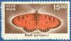 Colnect-548-012-Butterfly.jpg