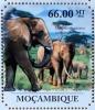 Colnect-4584-512-Elephants.jpg