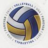 Colnect-5973-114-Volleyball.jpg
