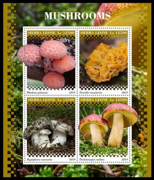 Colnect-6213-314-Mushrooms.jpg
